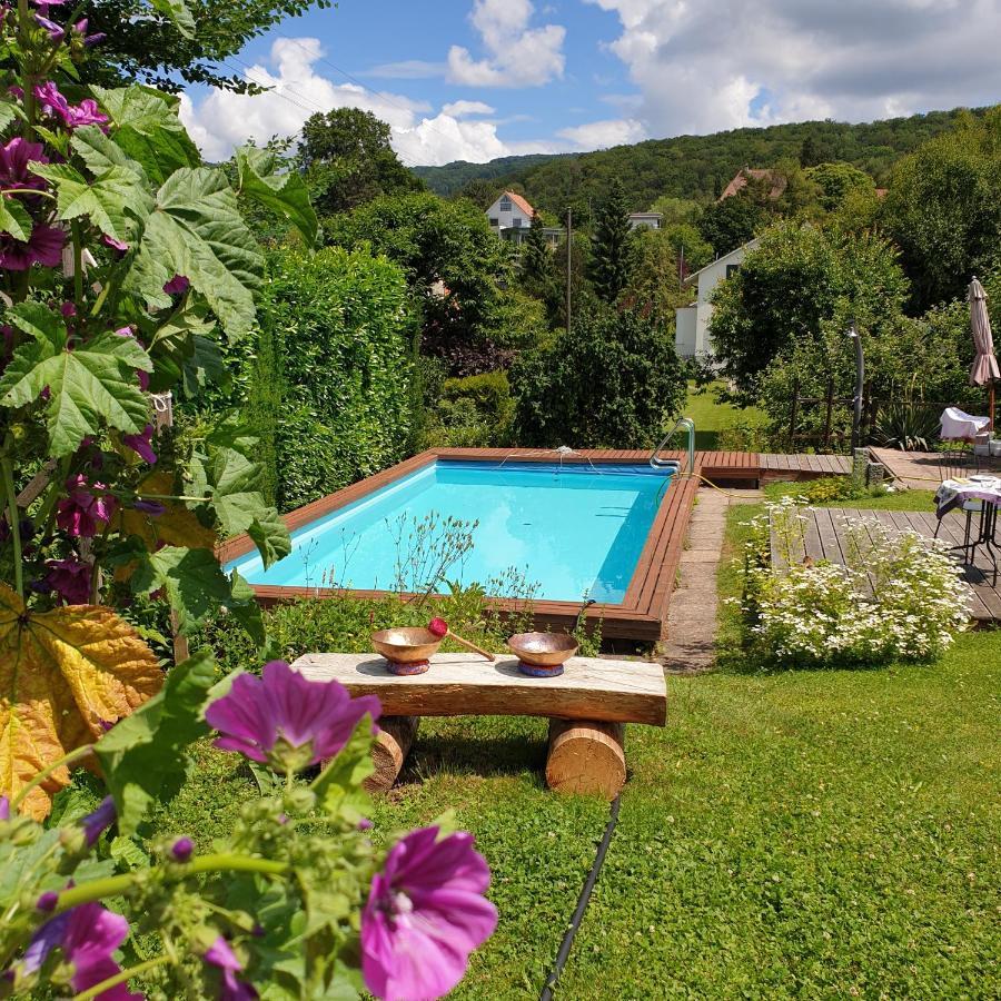 Апартаменты Rose-Marie'S Paradies Aesch Экстерьер фото